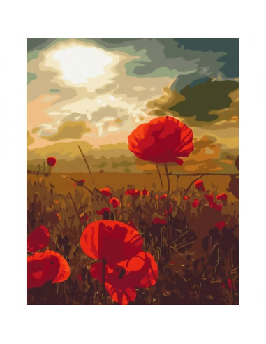 Set Pictura pe numere 40x50cm, Brushme - Camp cu maci - panza, cadru de lemn, pensule, culori acrilice, BS51961