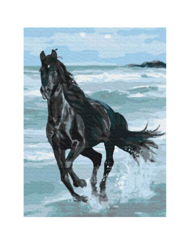 Set Pictura pe numere 40x50cm, Brushme - Calul alearga in mare - panza, cadru de lemn, pensule, culori acrilice, BS29330