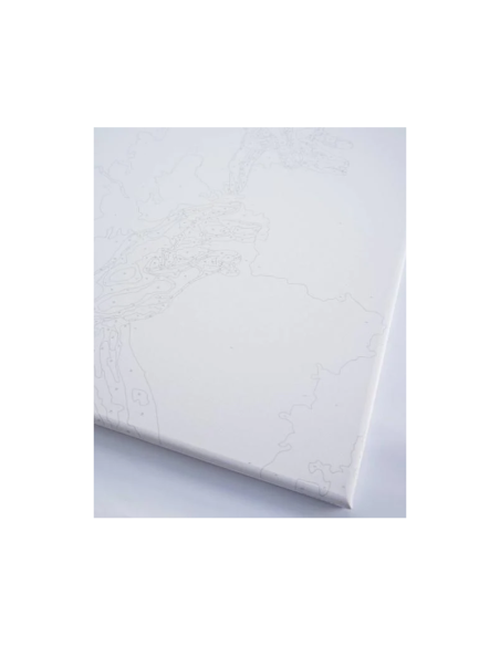 Set pictura pe numere 40x50cm, Brushme - Un golf pitoresc - pensule, culori, BS53780