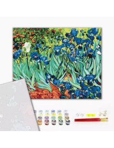 Set pictura pe numere 40x50cm, Brushme - Irisi - Van Gogh - pensule, culori, BS51339