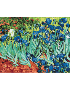 Set pictura pe numere 40x50cm, Brushme - Irisi - Van Gogh - pensule, culori, BS51339 2