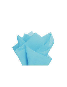 Hartie matase Colorarte, 66x50cm, albastru deschis, set 100 coli 2
