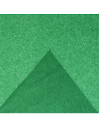 Hartie matase Colorarte, 66x50cm, verde, set 100 coli