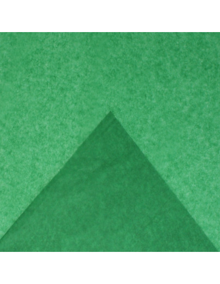Hartie matase Colorarte, 66x50cm, verde, set 100 coli