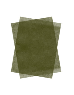 Hartie matase Colorarte, 66x50cm, verde fistic, set 100 coli