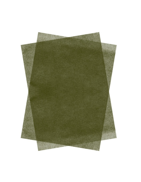 Hartie matase Colorarte, 66x50cm, verde fistic, set 100 coli