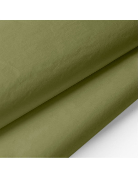 Hartie matase Colorarte, 66x50cm, verde fistic, set 100 coli