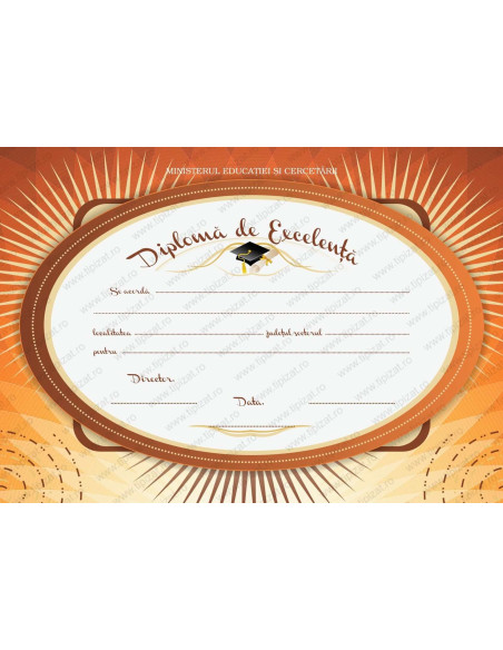 D010a Diploma de excelenta