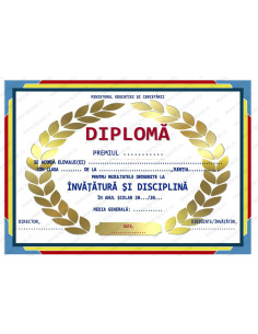 D012 Diploma scolara