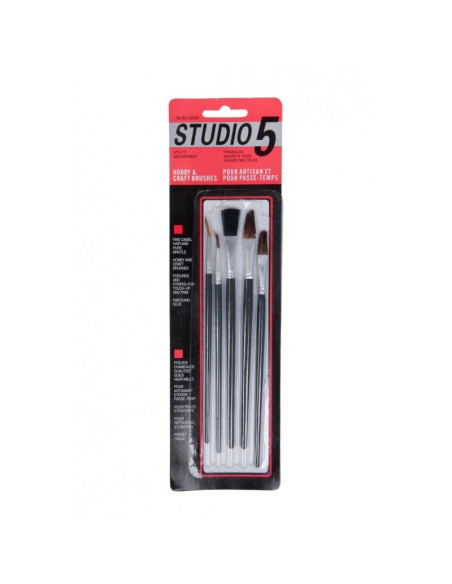 Pensula Cnx Sudio 30505-5, varf rotund, lat, set 5 buc