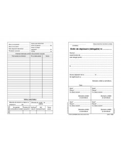 P036 Ordin de deplasare – delegatie