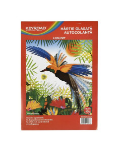 Hartie glasata Keyroad, 210x290 mm, 170g/mp, autocolant, set 8 culori