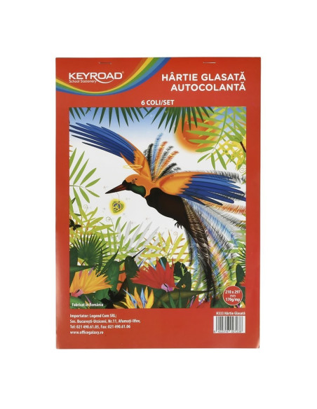 Hartie glasata Keyroad, 210x290 mm, 170g/mp, autocolant, set 8 culori