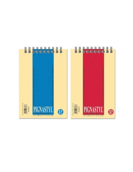 Blocnotes A6 Pigna Styl, 60 file, matematica, cu spira