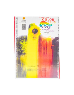 Carton colorat A4 Color Plus, 160g/mp, rosu craciun, top 250 coli 2