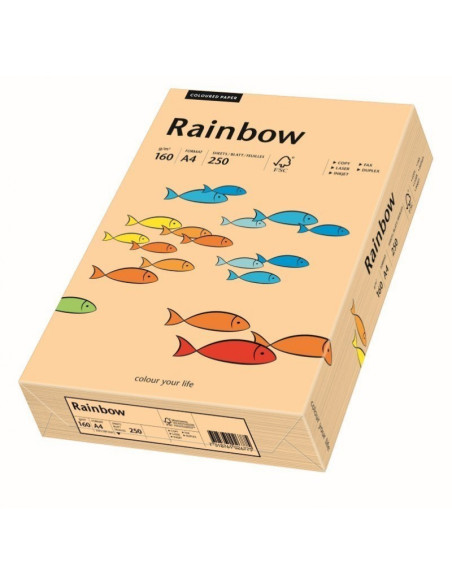 Carton colorat A4 Rainbow 88042505, 160g/mp, somon, top 250 coli