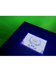 C025 Registru matricol pentru licee, grupuri scolare, sam, etc format A3 fara materii - coperta imitatie piele