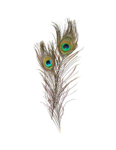 Accesorii creatie - pene, 25cm, paun, set 2 buc, Colorarte