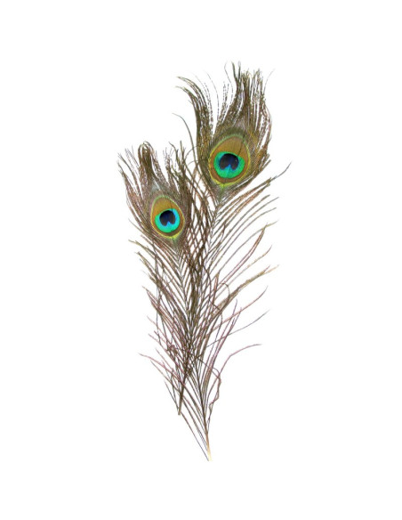 Accesorii creatie - pene, 25cm, paun, set 2 buc, Colorarte