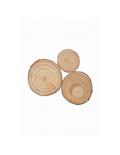 Accesorii creatie - lemn - rondele, 3.5-6cm, set 3 buc, Colorarte