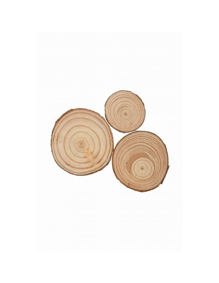 Accesorii creatie - lemn - rondele, 3.5-6cm, set 3 buc, Colorarte
