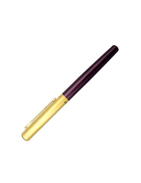 Stilou CNX Lux Dikawen 8039, alimentare pompita, corp metalic bordo, capac auriu